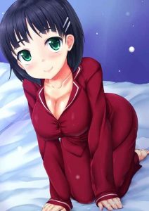 直葉のエロ画像（ソードアート・オンライン）10