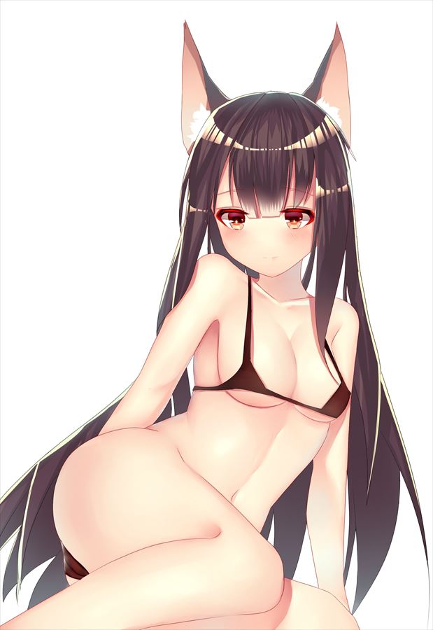 赤城のどエロい二次エロ画像がいっぱいおっぱい！【アズールレーン】