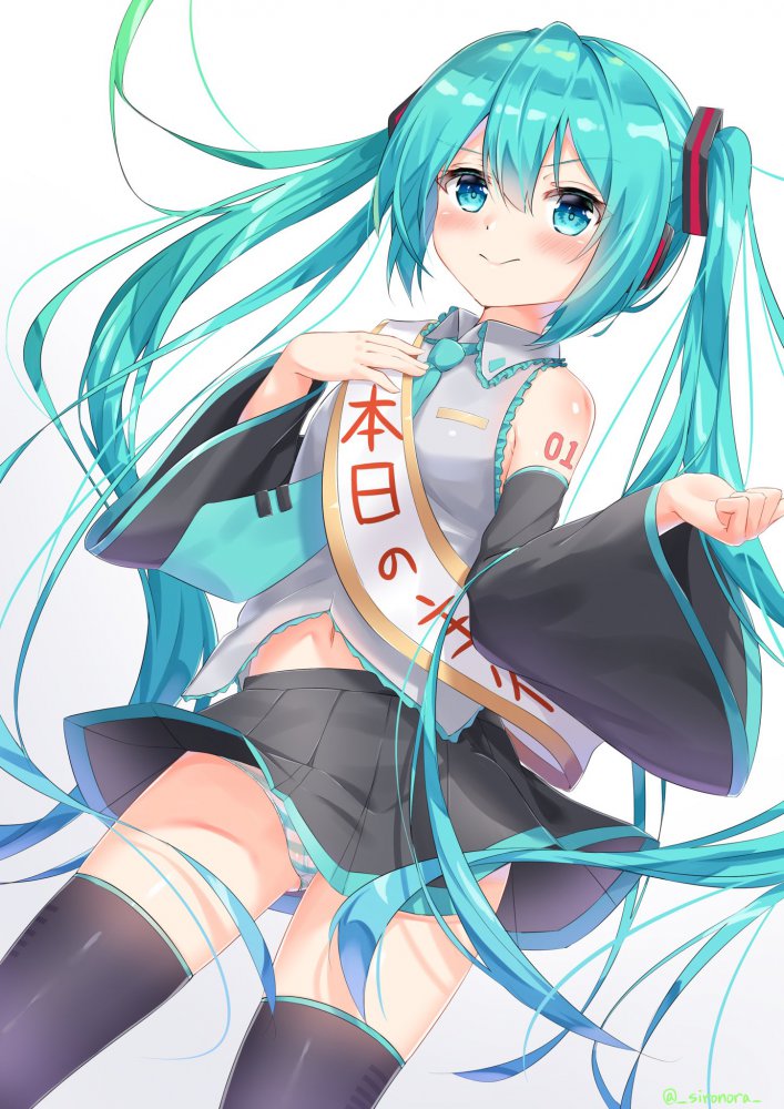 【ボーカロイド】初音ミクのえっちでかわいい二次エロ画像