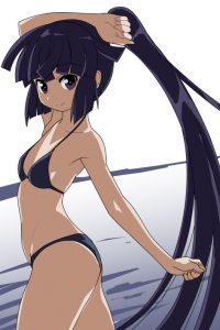 アカツキのエロ画像（ログ・ホライズン）15