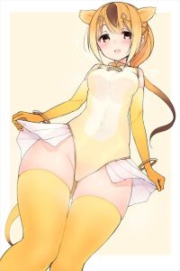 キンシコウのエロ画像（けものフレンズ）28
