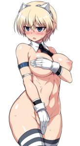 ニパのエロ画像（ストライクウィッチーズ）41
