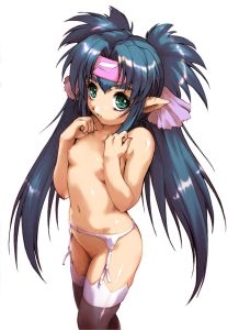 クラン・クランのエロ画像（マクロスF）18