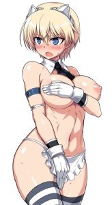 ニパのエロ画像（ストライクウィッチーズ）31