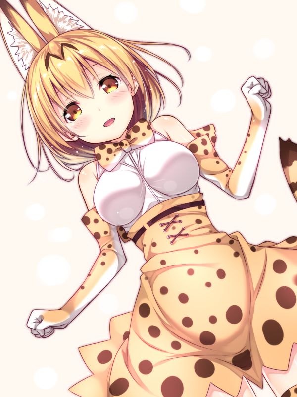 【けものフレンズ】サーバルのがっつりむしゃぶりつきたいおっぱいエロ画像で即抜き！