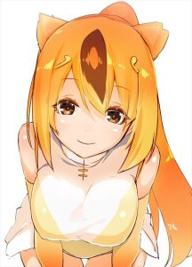 キンシコウのエロ画像（けものフレンズ）11