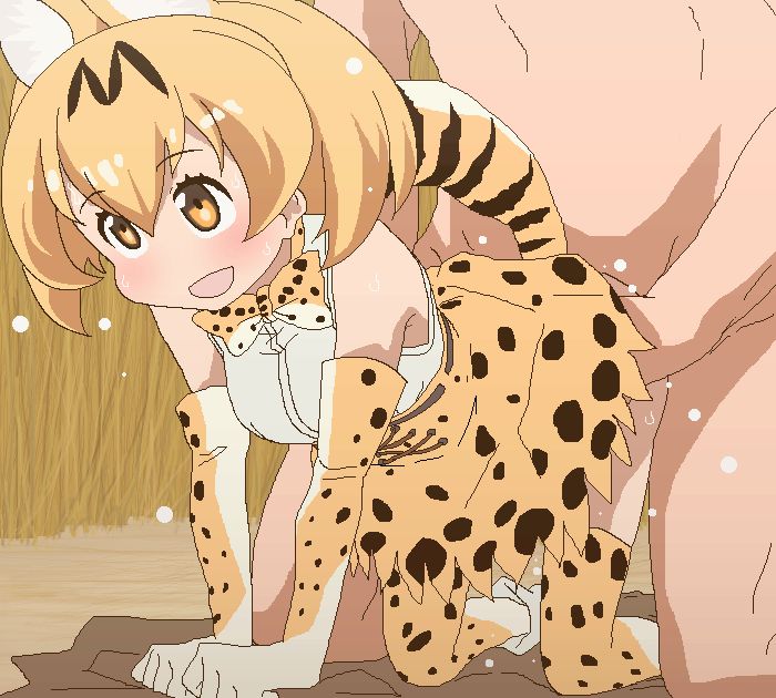 見てるだけで幸せになれるサーバルの無料エロ画像まとめ！(けものフレンズ)