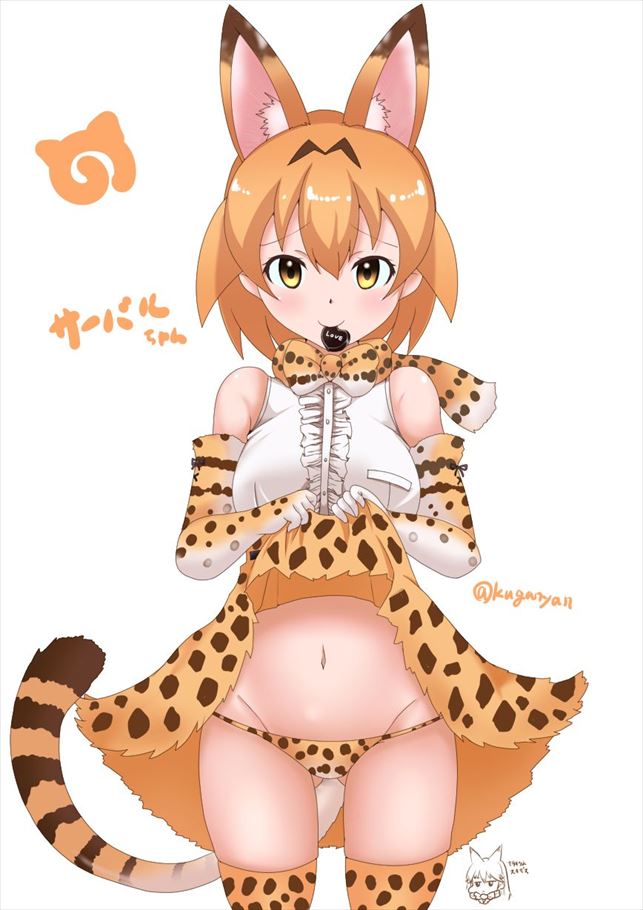 【画像あり】サーバルの衝撃画像が流出！？(けものフレンズ)