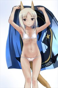 エディータ・ロスマンのエロ画像（ストライクウィッチーズ）1