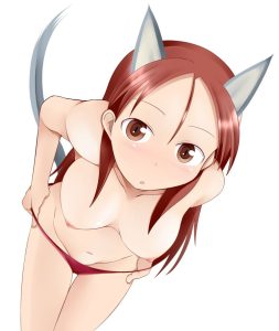 ミーナ・ディートリンデ・ヴィルケのエロ画像（ストライクウィッチーズ）51