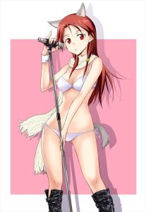 ミーナ・ディートリンデ・ヴィルケのエロ画像（ストライクウィッチーズ）59