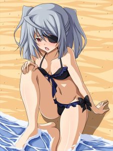 ラウラのエロ画像（インフィニット・ストラトス）1