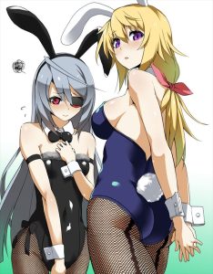 ラウラのエロ画像（インフィニット・ストラトス）13