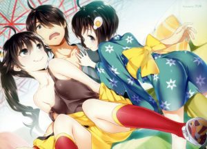 ファイヤーシスターズのエロ画像（物語シリーズ）23
