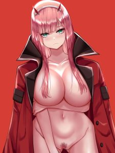 ゼロツーのエロ画像（ダーリン・イン・ザ・フランキス）10