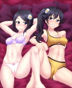 ファイヤーシスターズのエロ画像（物語シリーズ）25