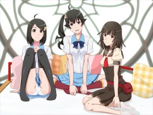 ファイヤーシスターズのエロ画像（物語シリーズ）30