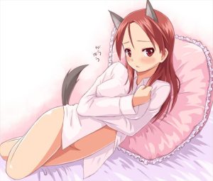 ミーナ・ディートリンデ・ヴィルケのエロ画像（ストライクウィッチーズ）18