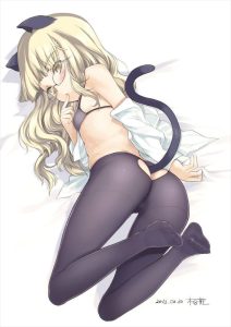 ペリーヌのエロ画像（ストライクウィッチーズ）36