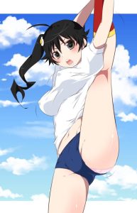 阿良々木火憐のエロ画像（物語シリーズ）22