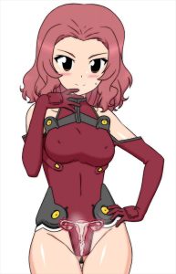 ローズヒップのエロ画像（ガールズ&パンツァー）17