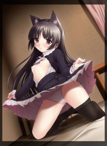 黒猫のエロ画像（俺の妹がこんなに可愛いわけがない）5