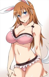 シャーロット・E・イェーガーのエロ画像（ストライクウィッチーズ）40