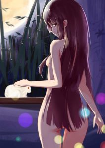 蓬莱山輝夜のエロ画像（東方Project）1