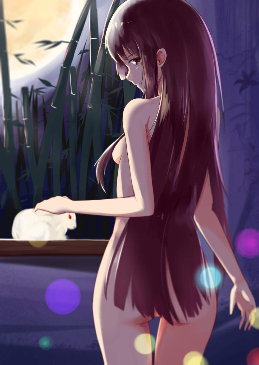 【東方Project】蓬莱山輝夜の壁紙(PC・スマホ)にできそうな高画質なエロ画像
