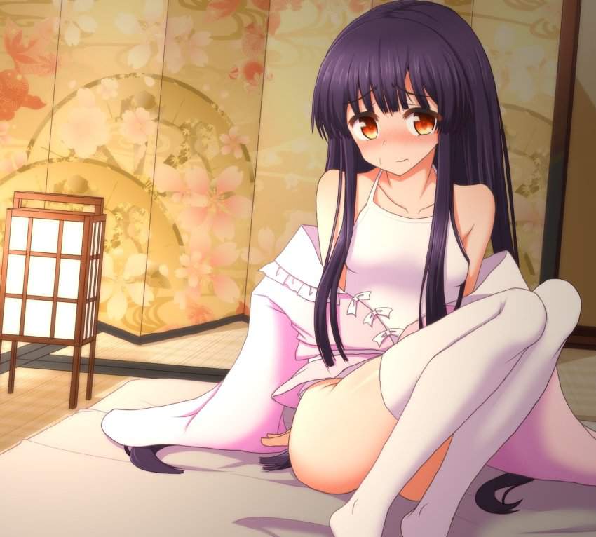 【東方Project】蓬莱山輝夜の壁紙(PC・スマホ)にできそうな高画質なエロ画像