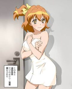 キュアパインのエロ画像（プリキュア）12