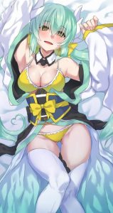 清姫のエロ画像（Fate Grand Order）59