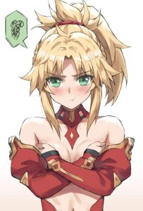 モードレッドのエロ画像（Fate Grand Order）49