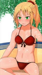 モードレッドのエロ画像（Fate Grand Order）22
