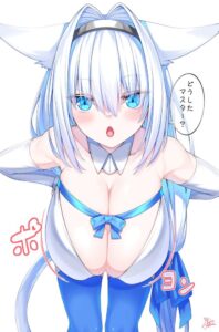 ドブルイニャ・ニキチッチのエロ画像（Fate Grand Order）14