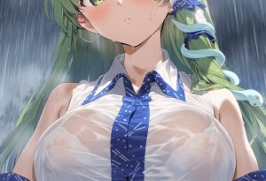 東風谷早苗のエロ画像（東方Project）44