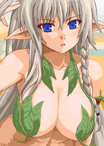 アレインのエロ画像（クイーンズブレイド）14