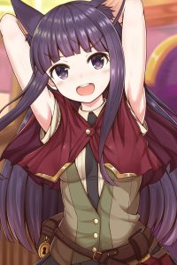 ミミのエロ画像（プリンセスコネクト！）17