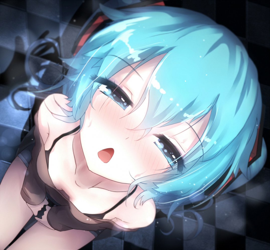 【ボーカロイド】初音ミクの壁紙(PC・スマホ)にできそうな高画質なエロ画像