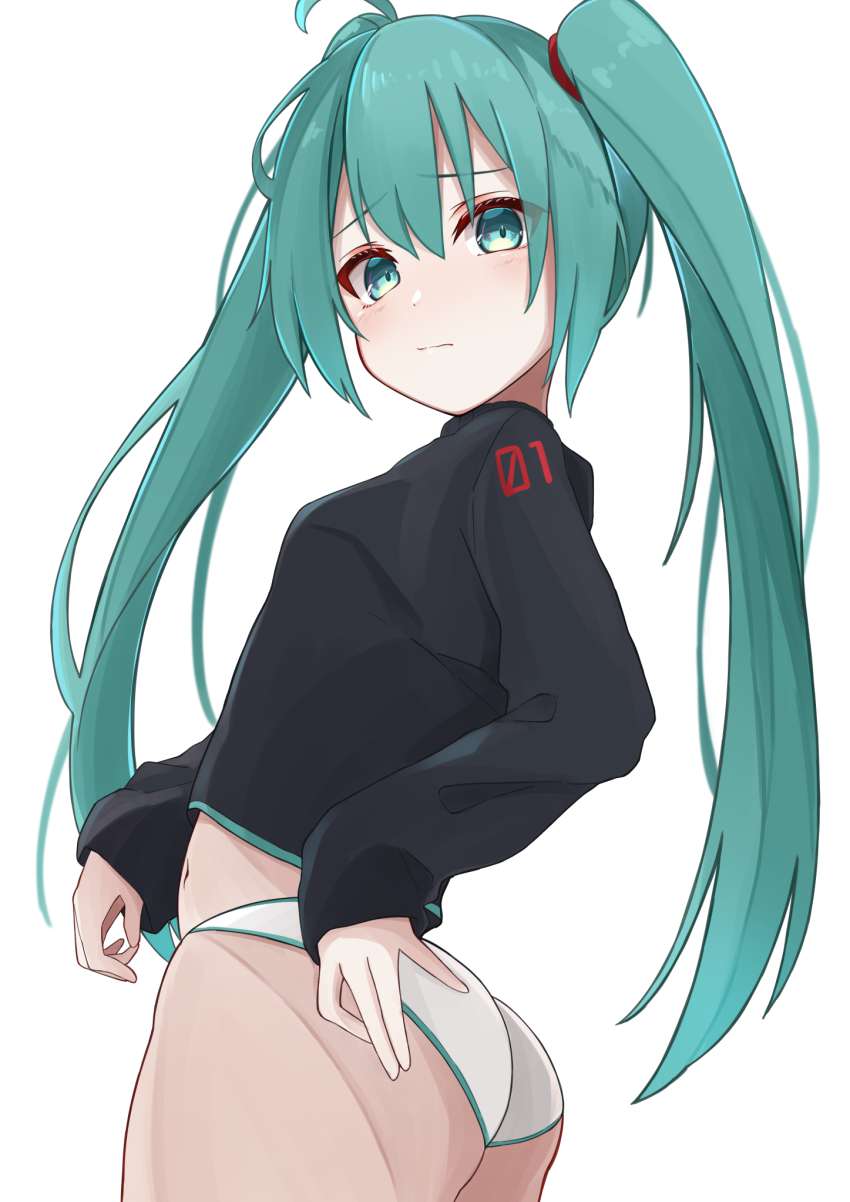 【ボーカロイド】初音ミクの激しいエロでハメハメな二次エロ画像まとめ