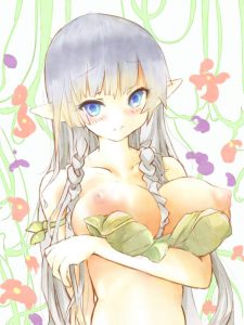 アレインのエロ画像（クイーンズブレイド）6