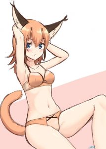 カラカルのエロ画像（けものフレンズ）34
