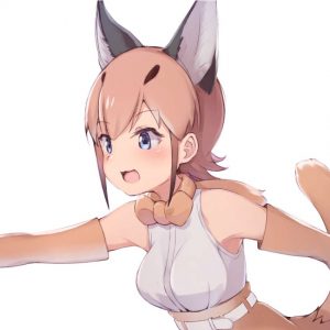 カラカルのエロ画像（けものフレンズ）23