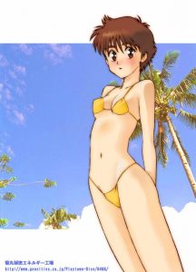 泉野明のエロ画像（機動警察パトレイバー）13