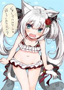 ハムマンのエロ画像（アズールレーン）22